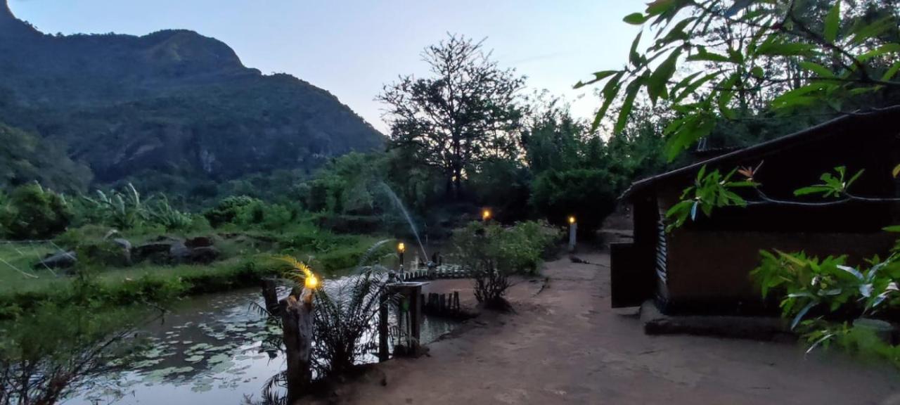 Eco Lodge Meemure & Adventure Park Mimure Eksteriør bilde